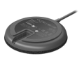 rally mic pod_2.png